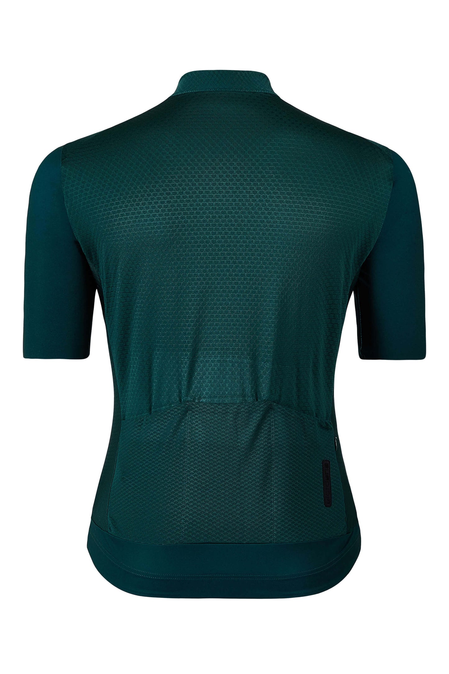 Back view of Women’s FR-C Pro Short Sleeve Jersey showing seam details in Sea Moss Green.