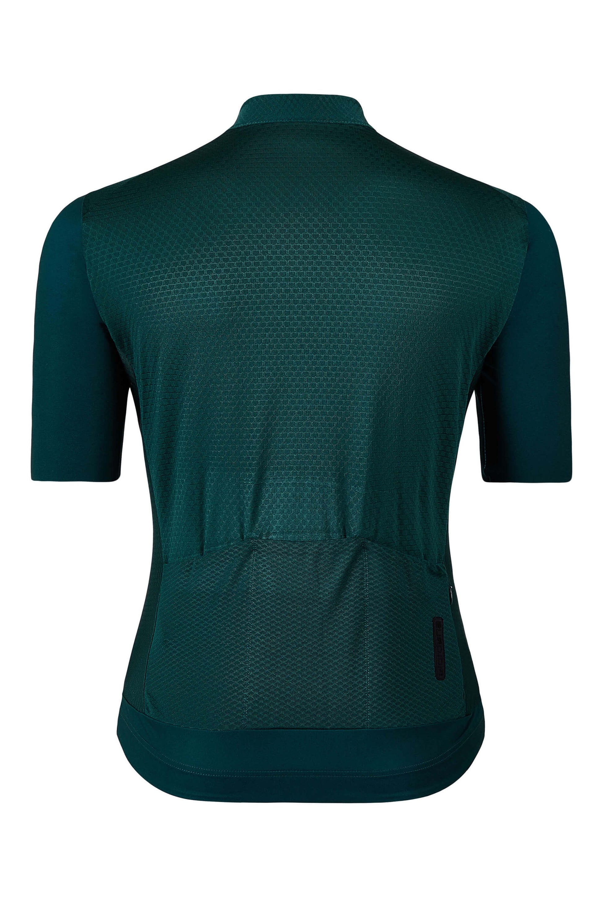 Back view of Women’s FR-C Pro Short Sleeve Jersey showing seam details in Sea Moss Green.